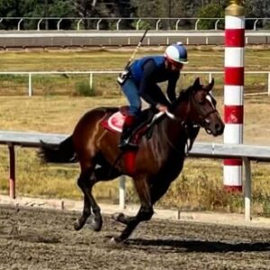 Steve Perry Instagram - It looks like a very sexy girl will be running soon at either Del Mar or Santa Anita … because the … “Girlcanthelpit”
-Sincerely, Steve Perry