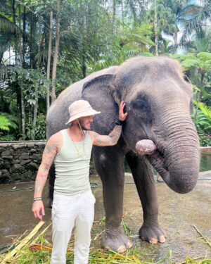 Steven Bachelard Instagram - one of my best moments in my life 🐘 #bali #bestvacation #elephants
