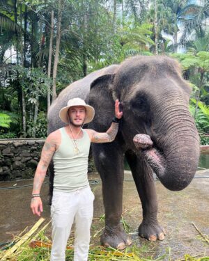 Steven Bachelard Instagram - Best Moment.. #Bali #elephant #park #lodge