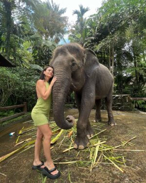 Steven Bachelard Instagram - Best Moment.. #Bali #elephant #park #lodge