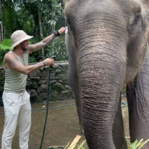 Steven Bachelard Instagram - one of my best moments in my life 🐘 #bali #bestvacation #elephants