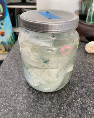 Steven R. McQueen Instagram - Garbage and grocery bags are often mistaken for jellyfish by seals. This was found in one seals stomach and was unfortunately fatal. The fishing lines were found in another. Also fatal.