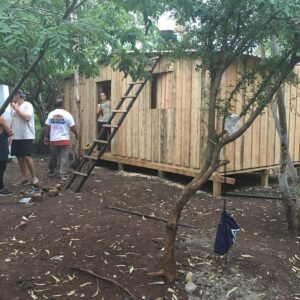 Steven R. McQueen Instagram - Feel like donating or volunteering? Check out @techo_org 
Great organization that helps communities all through Latin America