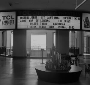 Stilvi Psilopoulou Instagram - I have some HUGE news for you guys! My short film “Phoenix 2021/ A Survival Guide” was selected by @silicon_beach_film_festival and screened at the world’s most iconic cinema, the TCL Chinese Theatre @chinesetheatres in Hollywood where all the big movies premiere!!! Nothing fires me up more than seeing my dreams come to life! I’ve put my heart and soul into my lil Phoenix and I’m endlessly proud and grateful for the outcome! In the last photo you can see my filmmaker badge! 💫💫💫 
.
.
.
#tclchinesetheatre #hollywood