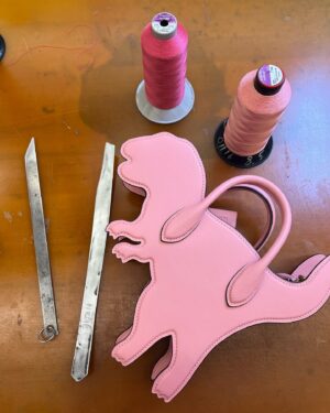 Stuart Vevers Instagram - Happy #NationalDinosaurDay 🦖🦕💛🌟😊 !

📍 @coach workshop