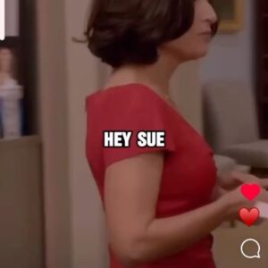 Sufe Bradshaw Instagram - This is terrific! Thank you @madamvicepresidentpod for putting this together. Best of luck with your podcast. 
#veep #hbo #lmao 🎉

#sufebradshaw