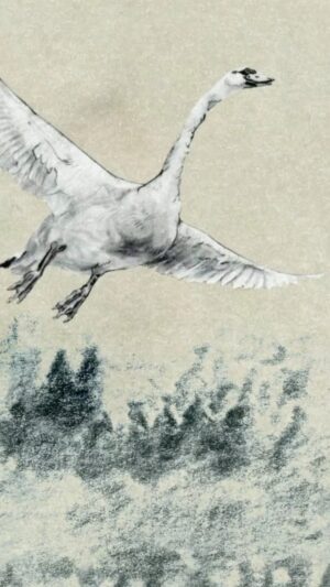 Sufjan Stevens Instagram - “Seven Swans” by @sufjan turns 20! Deluxe edition is available now 🦢
The expanded digital edition of the album includes two b-sides (never before released digitally) - “I Went Dancing With My Sister” and “Waste of What Your Kids Won’t Have.”