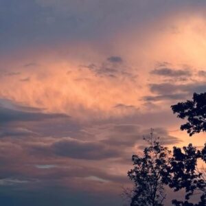 Sufjan Stevens Instagram - The world is abundant 
[This is a repost from Sufjan’s tumblr posted by @asthmatickittyrecords]
