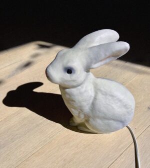 Sufjan Stevens Instagram - Enjoy your rabbit

[This is a repost from Sufjan’s tumblr posted by @asthmatickittyrecords]