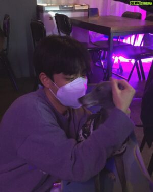 Suh Dong-hyun Instagram - #nationalpuppyday 
오늘 3월 23일은 ‘국제 강아지의 날’입니다🐶

지금도 강아지뿐만 아니라 많은 동물들이 힘들게 살아가고 있습니다

오늘뿐만 아니라 모든 날들이 동물과 사람이 서로를 위하는 순간이기를 바랍니다🐕🐈🐬🐎🐅🦏🦭🦛🦌🦧🦩🐫🐏🐄