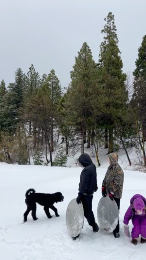 Summer Bellessa Instagram - You have to see this! Our weekend in Lake Arrowhead included our favorite pizza, supporting small businesses, seeing friends, and Freddie’s first time in snow! We think he loved it. What do you think? #themodernlodge #lakearrowhead #shoparrowhead #arrowheadpride