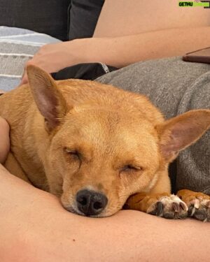 Supremme de Luxe Instagram - Mi perra se merecería una publicación cada día por ser tan buena compañera de vida y regalarme tanto amor a diario, así que hoy le dedico este carrete de fotos porque lo tiene más que merecido ❤️❤️❤️❤️.
