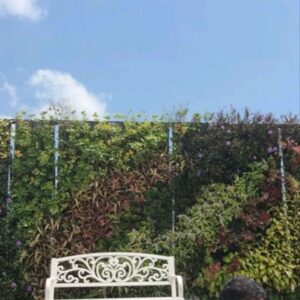 Surya Saputra Instagram - beberapa waktu yg lalu sempet sakit kaki yg nggak pernah di rasain sebelumnya..dan hikmah dari sakit kemarin adalah harusnya merubah pola hidup jadi lebih banyak olahraga..lebih sehat..lebih jaga diri..makan dan istirahat harus sesuai..
bukan hanya buat diri sendiri..tapi juga buat istri dan anak2 di rumah..ayo sehaaattt..
kuncinya komitmen dan konsisten..pasti bisa..