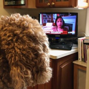 Susan Rice Instagram - At least someone in my household shows me some respect
