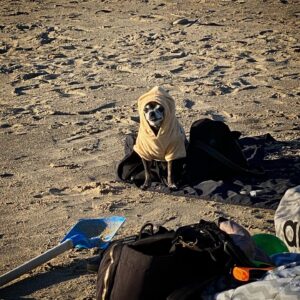 Susie Castillo Instagram - This morning, we said goodbye to our sweet boy, Oscar. He was almost 16 years old and he lived a great life. Traveled more than most people ever get to. The last couple years had their rough moments — his health was failing (congestive heart failure) — but he was a trooper. He always took his medications, even when we could tell he didn’t want to. The vet told us he may live 6-12 more months if everything went well, and this mofo went and  lived 2.5 more years. Like I said, trooper. I always struggled a bit with Oscar because I wanted to smother him with love, but he was nooot into it. He didn’t like too much affection. So it often felt like we had a disconnect. Like our love languages were different. But in the end, I realize that I loved him the way I was meant to love him, and him me. He was a blessing. Despite occasionally being a HUGE pain in the butt (IYKYK). Short version, he liked to yell at us if we didn’t give him what he wanted, and that yelling sound was unlike any sound any dog has ever made. Picture the air in a helium balloon being let out verrrrry slowly lol. It drove me crazy sometimes. And yet right now, going on 11 hours since his passing, I miss it so much it hurts. Oscar, wherever you’re off to, I love you and I miss you, and I hope we meet again ❤️