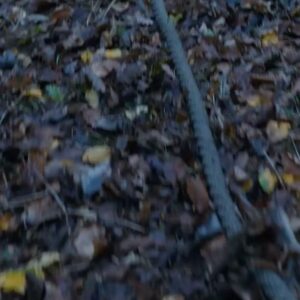 Suzanne Clément Instagram - La belle série La Corde de @dominiquerocher sort sur @arte.tv le 27 Janvier de Dominique Rocher et @_ericforestier_ avec @jmbarrparis @jeannebalibar @gillesvandeweerd @theret.christa @tommercierofficial @jceder @richard_sammel @planitia.k produite par @pierre_garnier_prod et @carine_boye