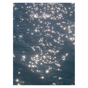 Suzuka Ohgo Instagram - #malibu #🌊 #☀️ #✨