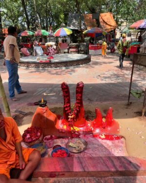 Swetha Gai Instagram - Real hunger is satiated through the eyes- Pradeepto

25.04.2024- A day with Tarama & Bama Khepa at Tarapith 🌺

Who is Pradeepto? 
The Sadhu in the 7th Slide.