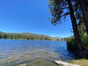 Sydney Viengluang Instagram - Gone fishin! Went off the grid for a bit to visit the Giant Sequioas and Hume Lake. Didn’t catch anything but was happy to visit one of my favorite childhood pastimes with my late grandpa 🎣🌲

#sequoia #sequoianationalpark #kingscanyon #camping #naturelovers #travel #adventure