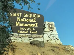 Sydney Viengluang Instagram - Gone fishin! Went off the grid for a bit to visit the Giant Sequioas and Hume Lake. Didn’t catch anything but was happy to visit one of my favorite childhood pastimes with my late grandpa 🎣🌲

#sequoia #sequoianationalpark #kingscanyon #camping #naturelovers #travel #adventure