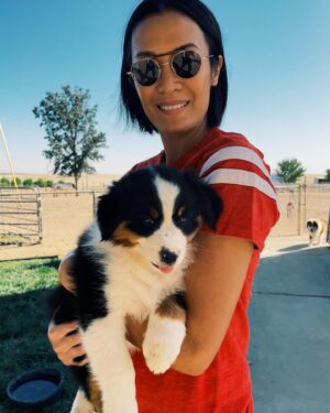 Sydney Viengluang Instagram - Introducing Giles the Mini Aussie! I can’t wait to go on some amazing adventures and make some beautiful memories with this little guy 🤎🐶

#gilestheminiaussie #floofy #puppy #aussie #australianshepherd