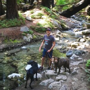 T.R. Knight Instagram - We had to say goodbye to Dingan last week. He was a master herder, an Olympic-worthy jumper, and watched and worried over his siblings ‘cuz they were his world. Thank you for fourteen-and-a-half years of love. I like to imagine you’re now running with your sister Laidan somewhere beautiful filled with elusive chipmunks. Goodbye, li’l bear, we love you.