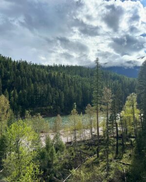 TJ Dillashaw Instagram - What an amazing weekend at a magical place @spottedbearranch with great people! Fly fishing for bull trout is a must.