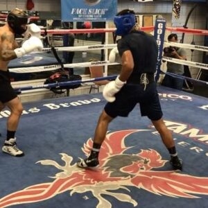 TJ Dillashaw Instagram - Some more sparring footage added to my @onlyfans page. This short clip was from my training camp getting ready to defend my belt at UFC 227. Boxing rounds at @coachjoeldiaz gym were always tough and had to be on your A game.