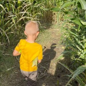 TJ Dillashaw Instagram - Having some fall fun getting lost in a corn maze and launching pumpkins.