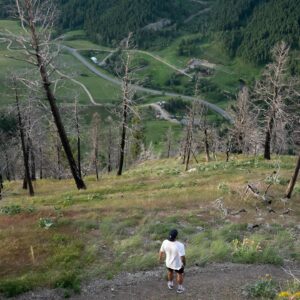 TJ Dillashaw Instagram - Crushing hills in Montana for leg day. #FuelYourAdventure with @wildsocietynutrition. That Citrus Punch smacks. Most refreshing protein there is.