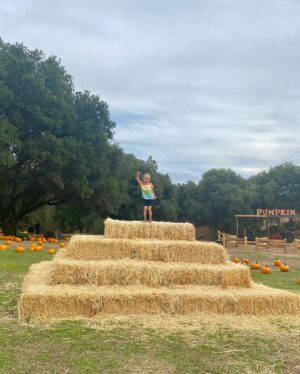 TJ Dillashaw Instagram - Having some fall fun getting lost in a corn maze and launching pumpkins.