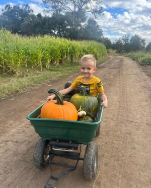 TJ Dillashaw Instagram - Having some fall fun getting lost in a corn maze and launching pumpkins.