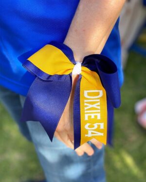 Tabitha Soren Instagram - The seniors on the Pomona Pitzer Sagehens softball team sweetly included Dixie in their senior day festivities. There is so much kindness and tragedy in the world. It's hard to hold both at once. ⁠
⁠
Looking back on Dixie's final graduation, we just did the best we could with since it was during 2020 and Covid. The most important element for Dixie was having Ross by her side.  He was always welcome in our corona bubble. ⁠
⁠
Congrats to the strong and compassionate seniors who have kept Dixie alive in the Pomona-Pitzer dugout and on the field: ⁠
⁠
Erika Rivera (pitcher, @erikakika__) 🧡⁠
Shelby Hawkes (catcher, @shelbymhawkes) 💙⁠
Lauren Ziment (outfielder, @_lauren_z_) 🧡⁠
Morgan Groves (outfielder, @mmorgannn10) 💙