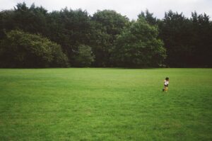 Tahj Mowry Instagram - Ireland in 35mm | shot by me