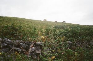 Tahj Mowry Instagram - Ireland in 35mm | shot by me