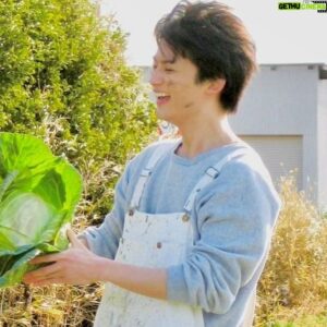 Taiyu Fujiwara Instagram - Human Melody
