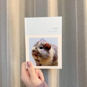 Takei Sara Instagram - 我が家のアイドル、モルモットのラムちゃんがついに1st写真集を作成しました♡
タイトルは「LAMU〜super fat diary〜」
日本語にすると「ラム激太り日記」です。
ラムちゃんの赤ちゃんの頃から現在に至るまでのわがままボディが収められております。
なんと、今回の写真集！全てヌードです！
モルモット、ラムちゃんの色っぽい姿見がたくさん見られる一冊となっております笑