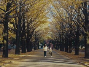 Takumi Kizu Instagram - This is LAST【バランス】
MV公開！
去年から一年かけて撮影した春夏秋冬。
撮影を通して1年ってあっという間で濃厚、1年の中に四季があって、いろんな感情があって、のんびりしてても忙しいね。
何を言ってるんだ
でもそんな気持ち

是非mvみてね