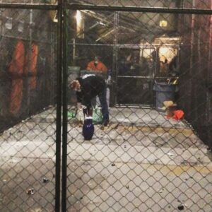 Taliesin Jaffe Instagram - Primal therapy in action.