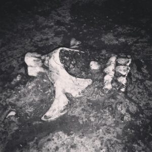 Taliesin Jaffe Instagram - A solid foundation
