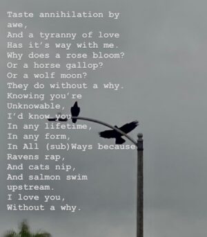 Tanaya Beatty Instagram - without a why