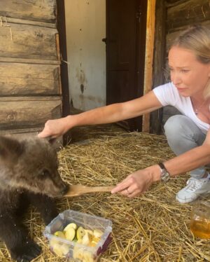 Tanja Ribič Instagram - Izpolnila se mi je zivljenjska zelja! Druzila sem se s stirimesecnim medekom! Ubili so mu mamo in zdaj je v oskrbi ljubitelja zivali. Zanimivo je, da je ze nevaren. Zaradi krempljev. Ko se je razjezil, ker je zmanjkalo medu in zarjovel,so vsi pobegnili, jaz se nisem pustila prestrasit in sem hitro zajela novo zlico in on je bil spet zadovoljen…❤️❤️❤️❤️❤️🧸#animalovers  #cuteanimals  #cutebabyanimals #bear #zalublenaa
