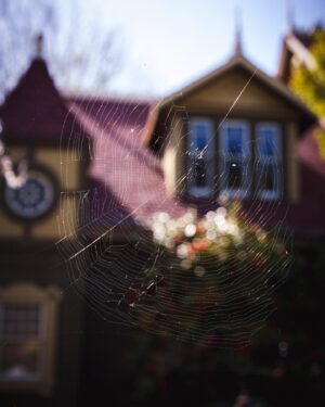 Tanner Wiseman Instagram - THE WAIT IS OVER!! It’s Fear Friday!! 

Time to open up the door to the @winchestermysteryhouse and get LOST! 

The most confusing building ever, ours for the entire night, with no flashlights!

Watch it right now on @discoveryplus AND watch with us live on @travelchannel as we live tweet using #DestinationFear