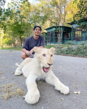Tanutchai Wijitvongtong Instagram - Roarrrr🦁