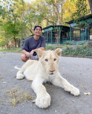 Tanutchai Wijitvongtong Instagram - Roarrrr🦁