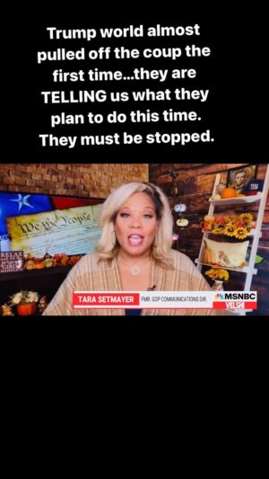 Tara Setmayer Instagram - On @velshimsnbc I laid out why Trump’s terrifying plans for America should not be dismissed. He’s telling us daily. He’s showing us daily what a lunatic he is. The media must start treating him like the madman he is and stop normalizing his blatant authoritarianism.