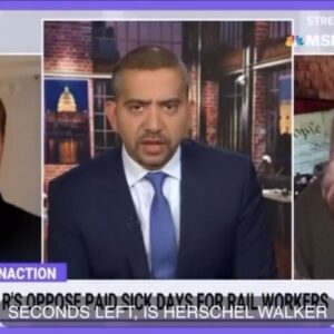 Tara Setmayer Instagram - In honor of today’s runoff in Georgia, reposting my thoughts and prediction on whether Walker wins or not. 
Come on good people of GA, I have faith in you to vote Warnock and end this national disgrace. #warnockforsenate