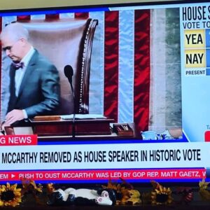 Tara Setmayer Instagram - Welp…I called this after McCarthy signed his own political death certificate when he agreed to lower the threshold to one Member to call a Motion to Vacate. 

So here we are. Once again, Republicans making history for all the wrong reasons in the Trump era. 

McCarthy deserves this embarrassing demise. Unworthy of the gavel from the beginning. 

But, it’s another sad day for the institution of Congress. This dysfunction is a disservice to the country.