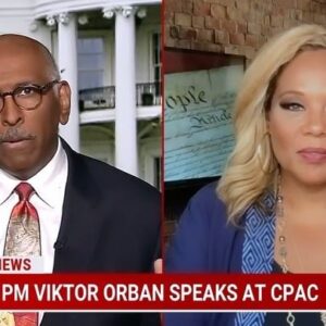 Tara Setmayer Instagram - This week the extremist lunacy of the GOP was on full display at CPAC. @chairman_steele and I kept it 💯 discussing on @msnbc. 
No, this doesn’t end well.