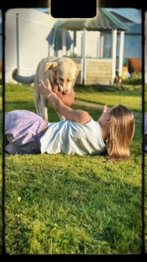 Tatyana Cherdyntseva Instagram - Коротко о выходных…🐕🌳🏀🥩🦋🌺
.
.
.
.
.
#татьяначердынцева #выходные #друзья #пес #прогулка #подмосковье #лето2024 #actresslife #forest #walk #summer #dog #friends #village